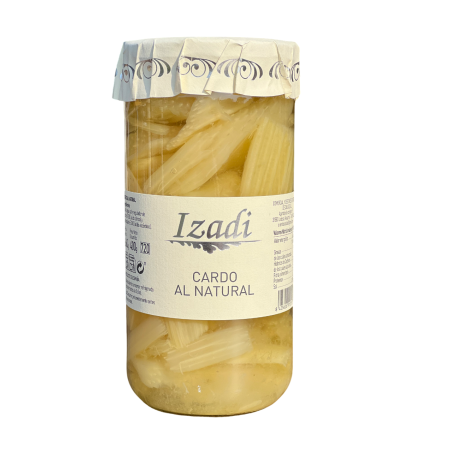 Cardo de Navarra